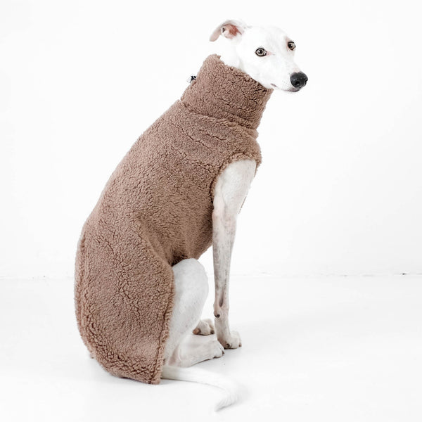 teddy pullover. für whippet