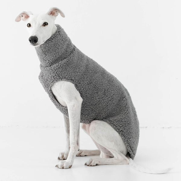 Whippet Long Shirt