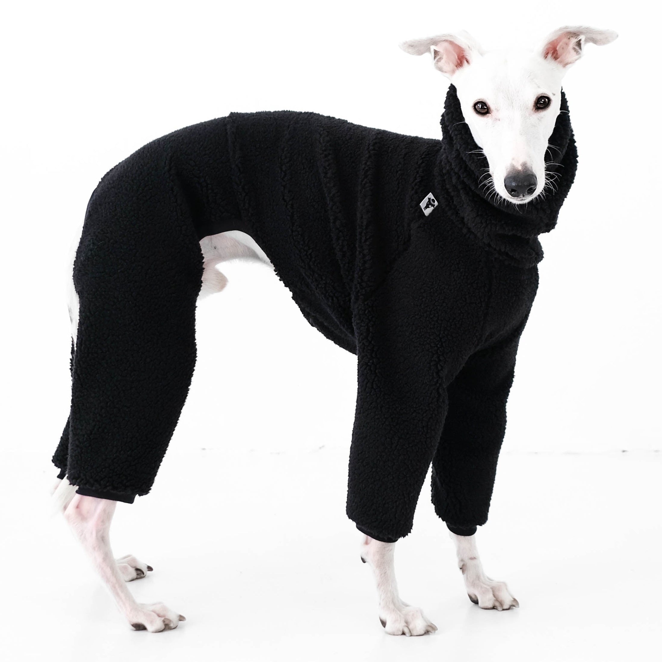 Windhund Kleidung
