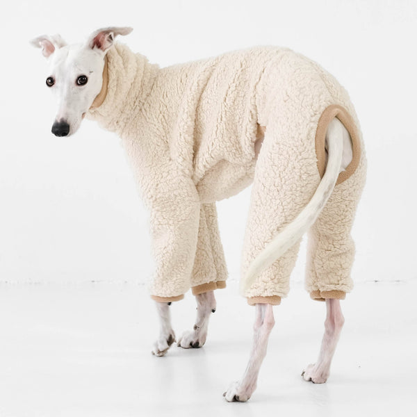 Whippet Kleidung