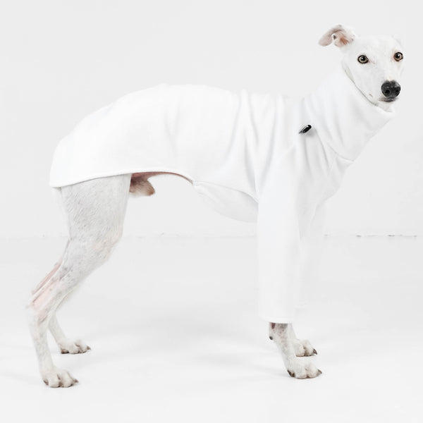 white whippet