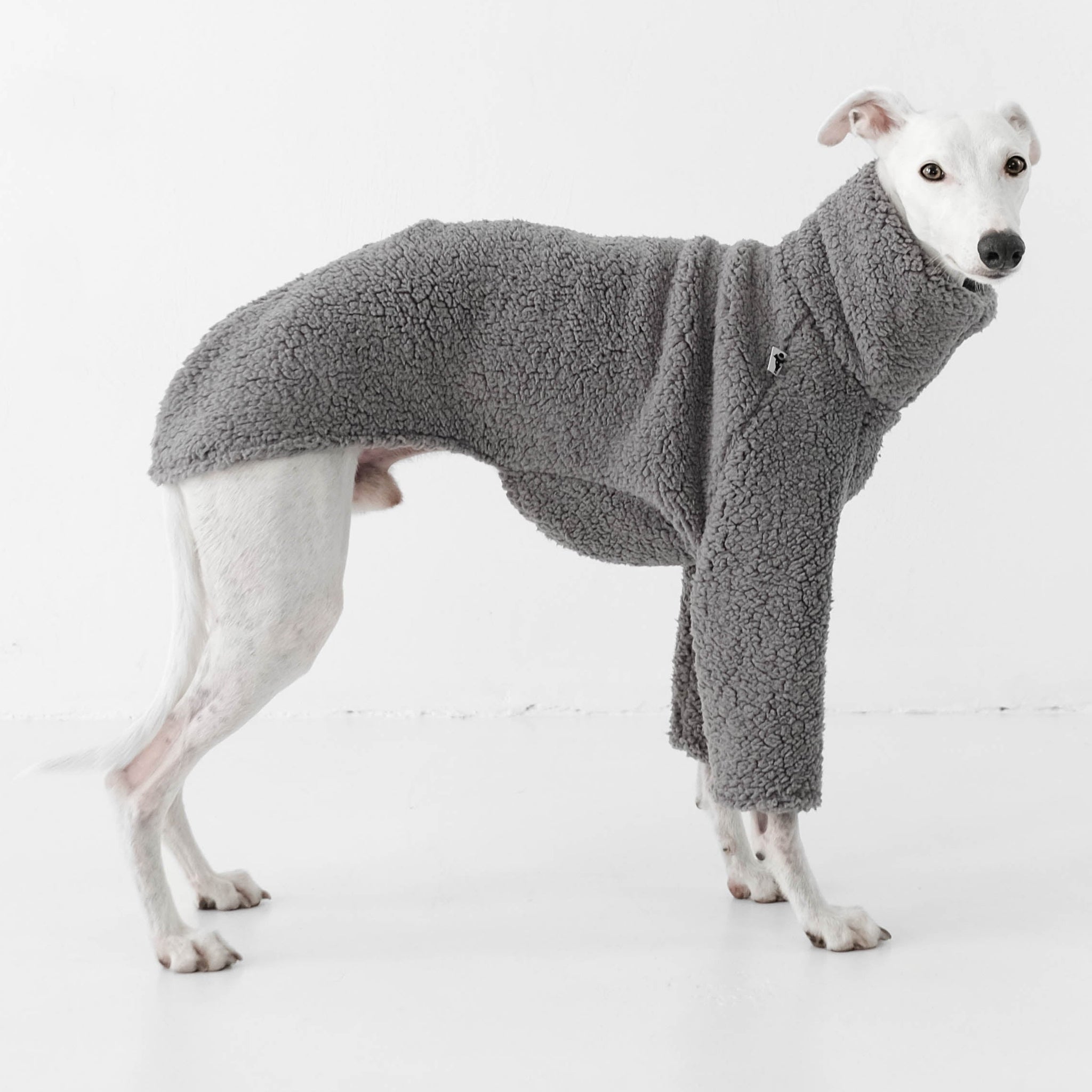 Whippet Pullover