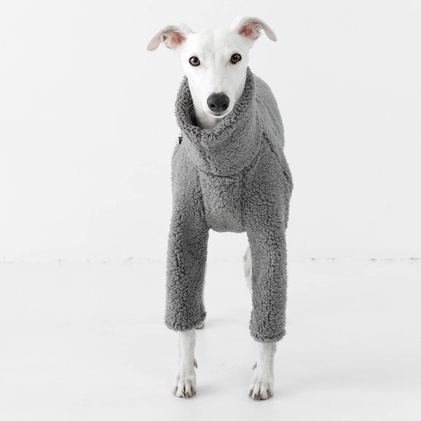 Whippet Jumper