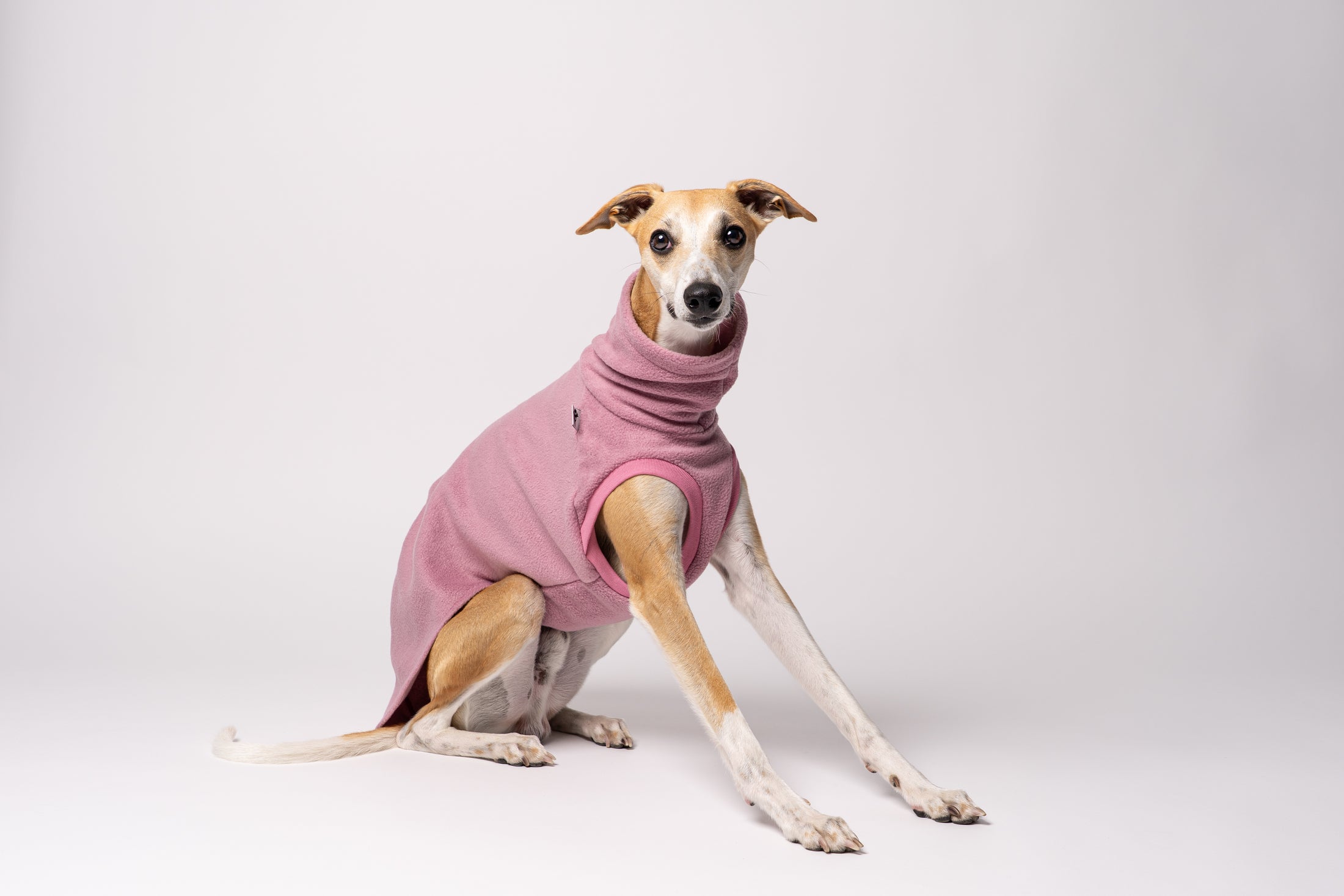 Whippet im ärmellosen Long Shirt – idealer Schnitt für maximale Bewegungsfreiheit