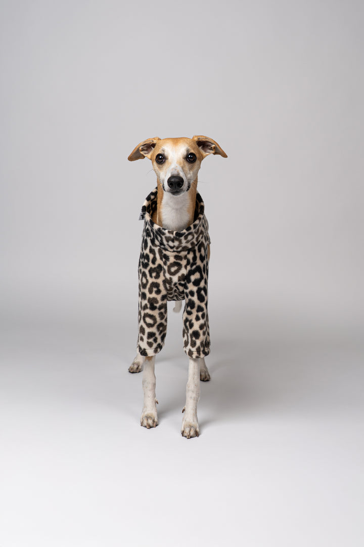 Whippet im Leo-Fleece Pullover – modischer Look für elegante Windhunde