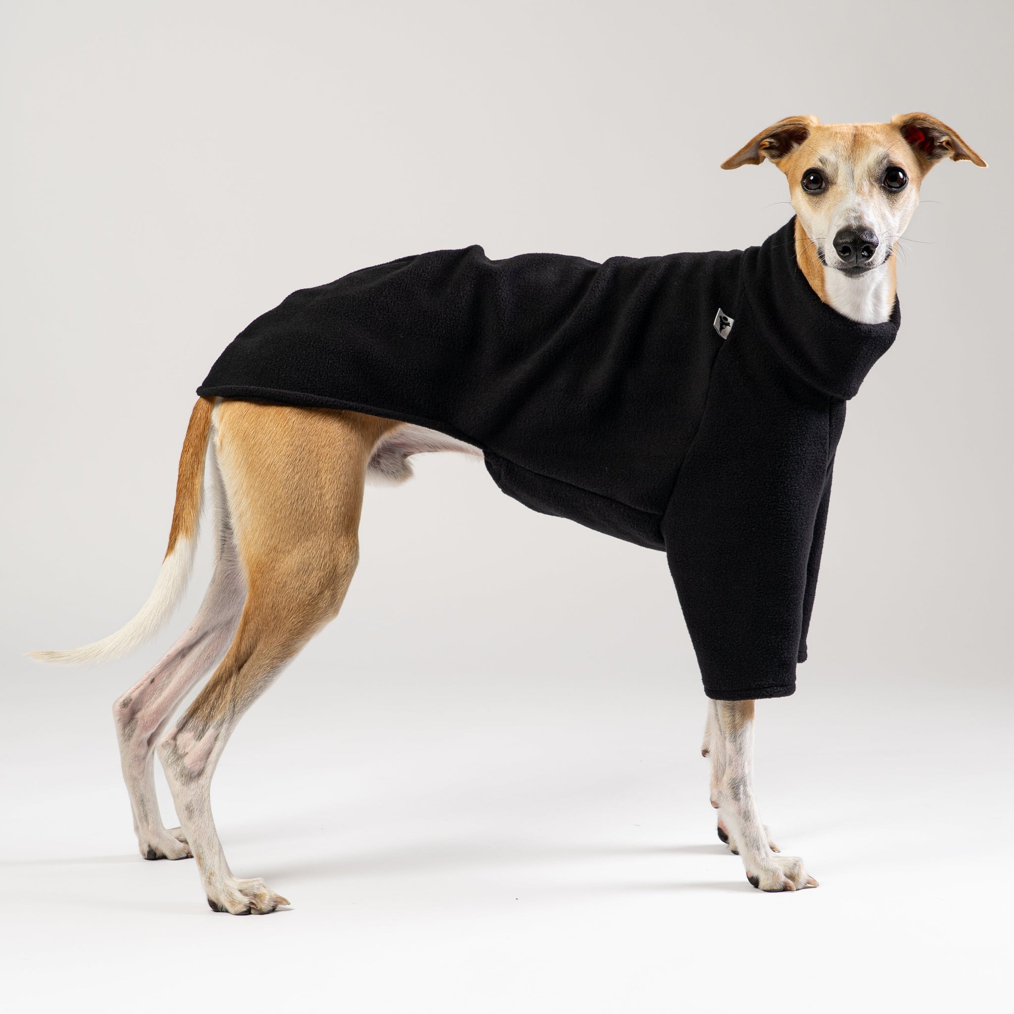 Whippet im Karma Hund Fleece-Pullover in Schwarz – eleganter Look und weiches Material für höchsten Komfort.