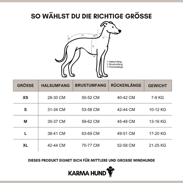 Whippet Kleidung Masstabelle Deutsch 2025