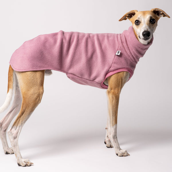 Whippet im Long Shirt aus Fleece – körpernah geschnittene Windhundkleidung für kalte Tage