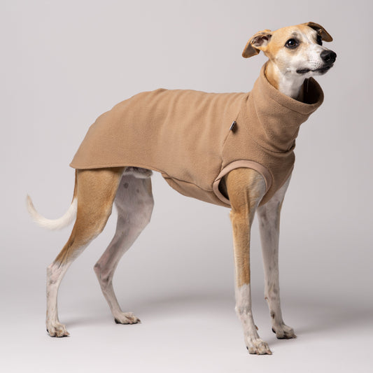 Whippet im Long Shirt in Camel – stilvolle Windhundmode und bequemer Passform