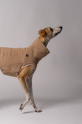 Bild in Galerie-Betrachter laden, Whippet im Long Shirt in Camel – stilvolle Windhundmode und bequemer Passform
