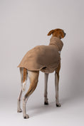 Bild in Galerie-Betrachter laden, Whippet im Long Shirt in Camel – stilvolle Windhundmode und bequemer Passform
