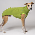 Bild in Galerie-Betrachter laden, Whippet im Long Shirt in Light Green – freundliche Farbe für Windhundmode
