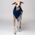 Bild in Galerie-Betrachter laden, Whippet wearing fleece shirt made of fleece made in Berlin
