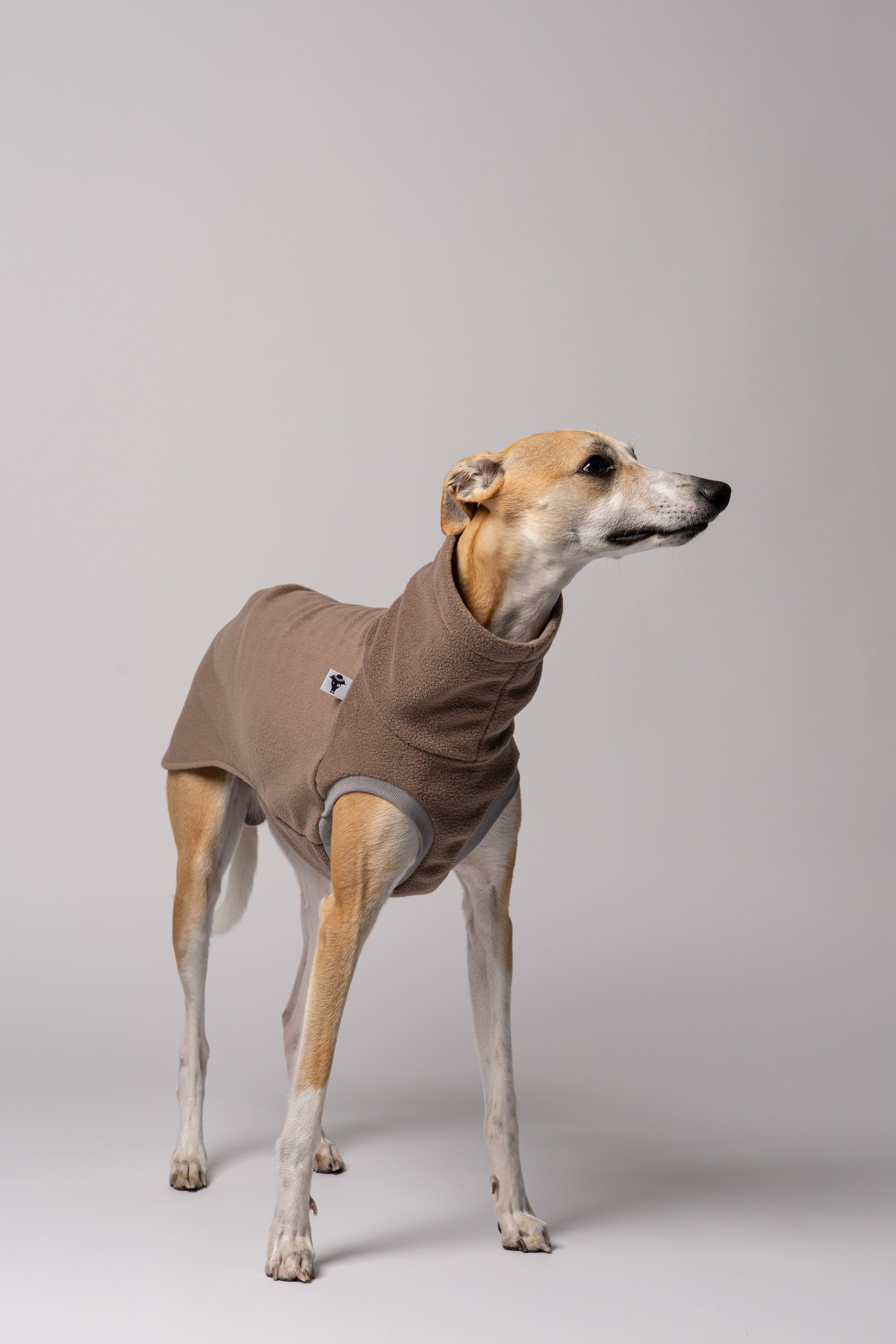 Windsprite im eleganten Long Shirt in Walnut beim Spaziergang – minimalistisches Design trifft auf maximale Funktion