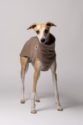 Bild in Galerie-Betrachter laden, Whippet im Long Shirt in Walnut – stilvolle Windhundmode mit wildem Muster und bequemer Passform
