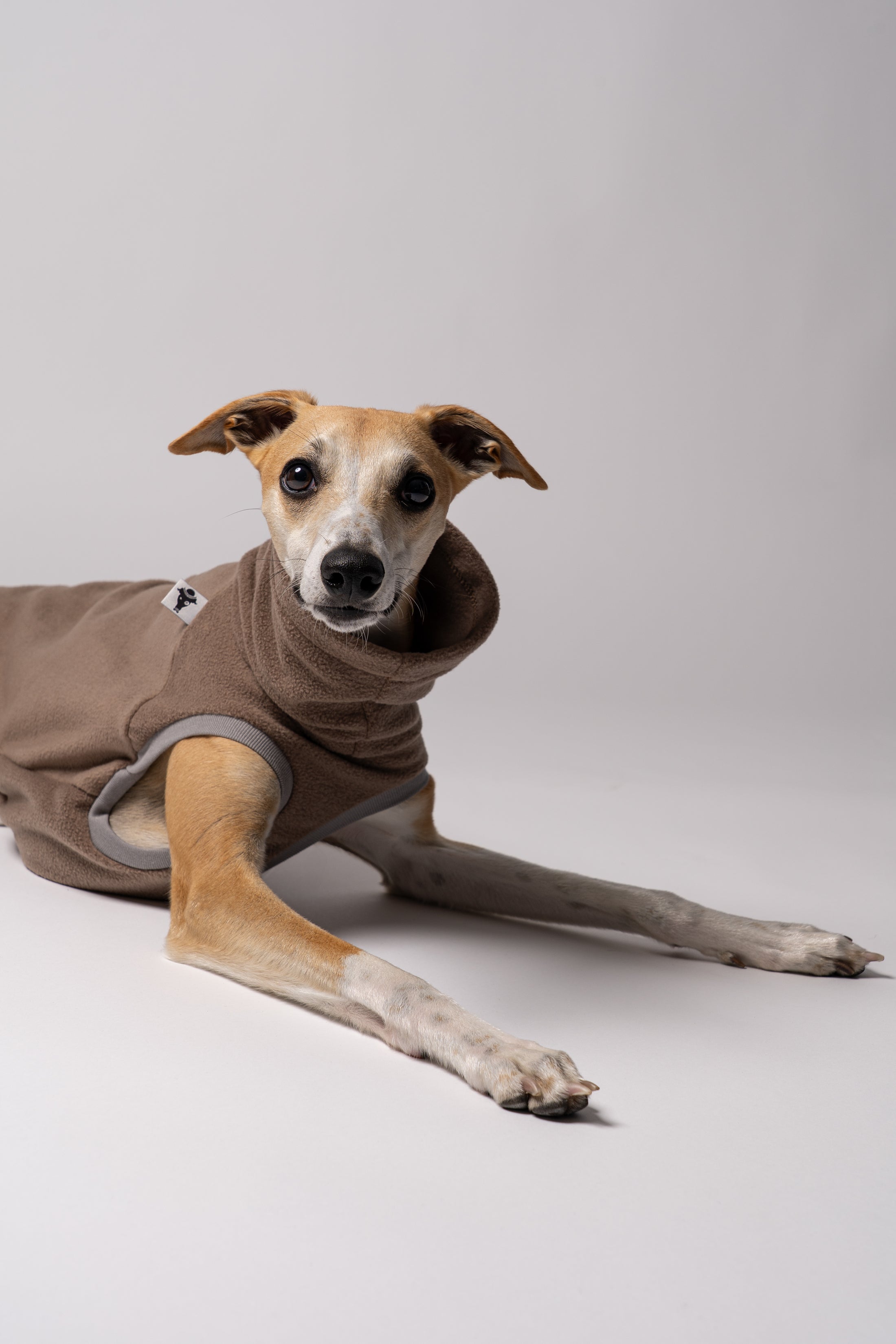 Nahaufnahme: Whippet trägt Long Shirt in Walnut – weiches Fleece, perfekt verarbeitet für schmale Körperformen