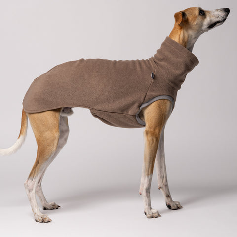 Whippet im eleganten Long Shirt in Walnut beim Spaziergang – minimalistisches Design trifft auf maximale Funktion