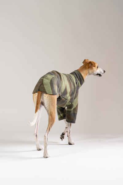 Whippet trägt warmen Fleece-Pullover in Camouflage von Karma Hund – stylisches Hunde-Outfit für Herbst und Winter.