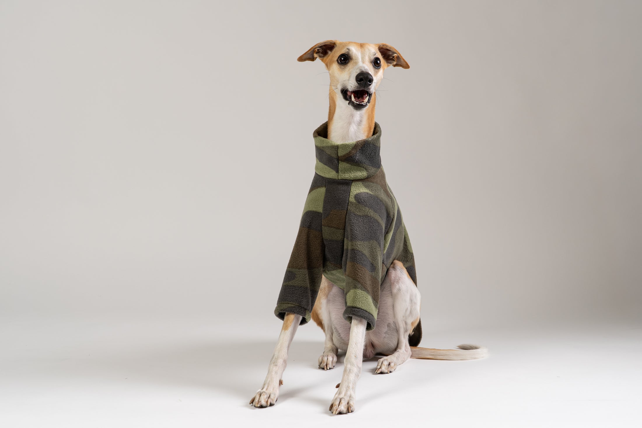 Whippet im Karma Hund Camouflage Fleece-Pullover – modische Hundebekleidung mit sportlichem Design.
