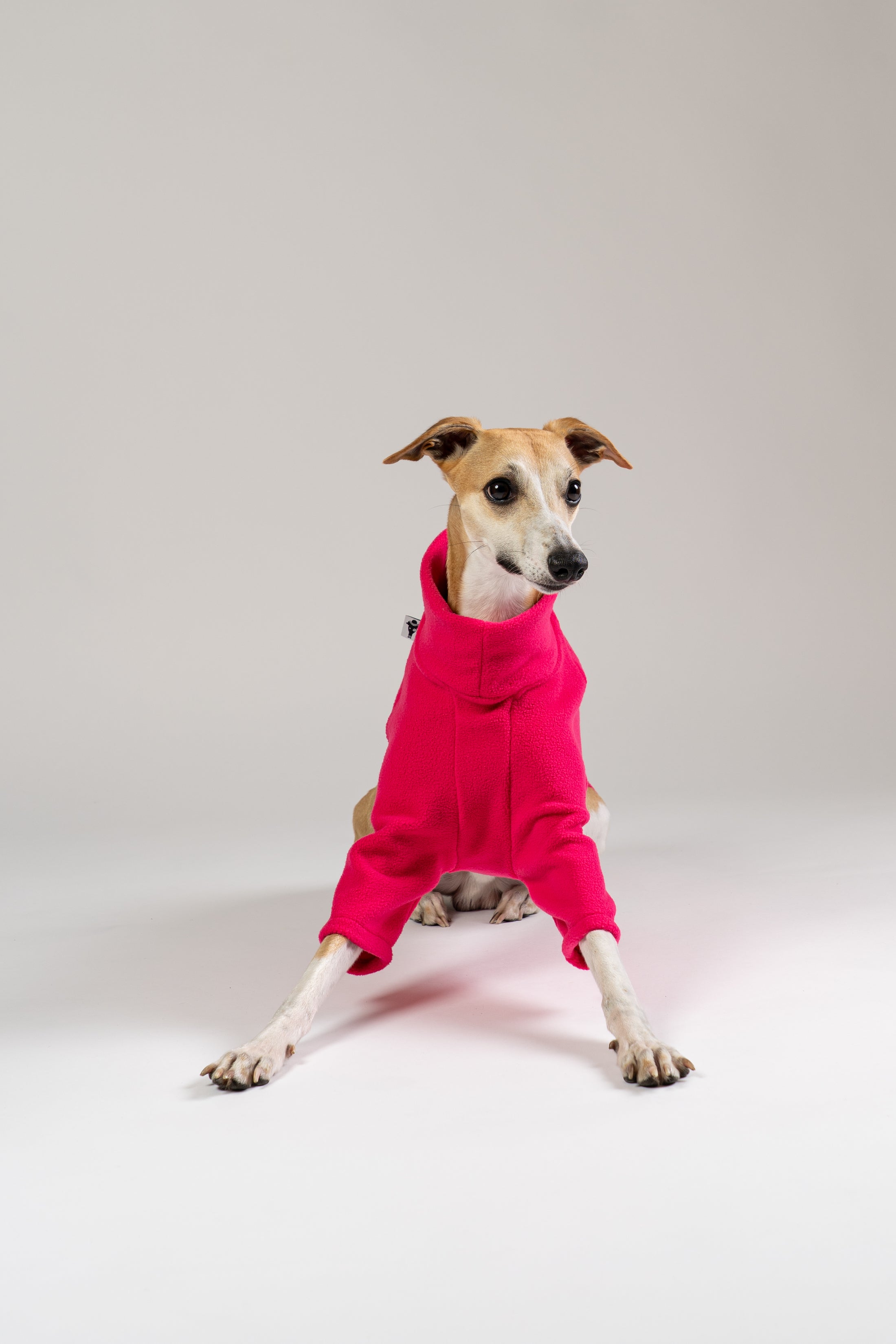 Whippet im Karma Hund Fleece-Pullover in Magenta – weiches Material und modischer Look im Studio.