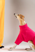 Bild in Galerie-Betrachter laden, Whippet posiert im magentafarbenen Karma Hund Fleece-Pullover – modische Hundebekleidung mit femininer Note.
