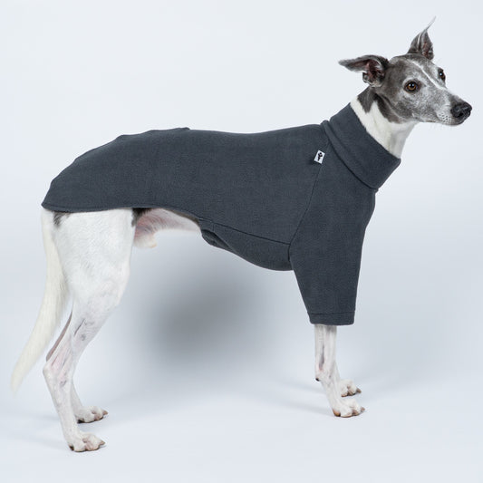 Whippet präsentiert Windhund-Pullover in Graphite vor weißem Hintergrund – schlicht, funktional, stilvoll
