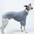 Bild in Galerie-Betrachter laden, Whippet präsentiert Windhund-Pullover in Light Grey vor weißem Hintergrund – schlicht, weich und funktional
