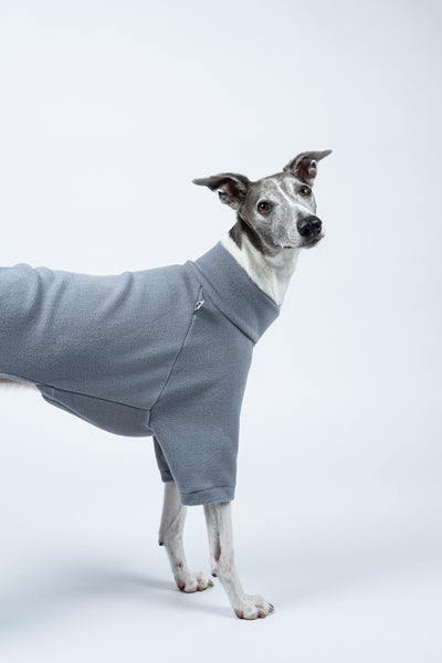 Seitliche Ansicht: Whippet im hellgrauen Fleecepullover – schlicht, zeitlos, bequem