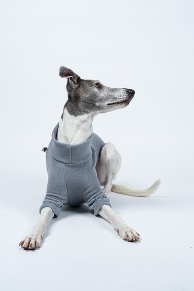 Weiches Fleece in Light Grey – Whippet entspannt in ruhiger Liegeposition