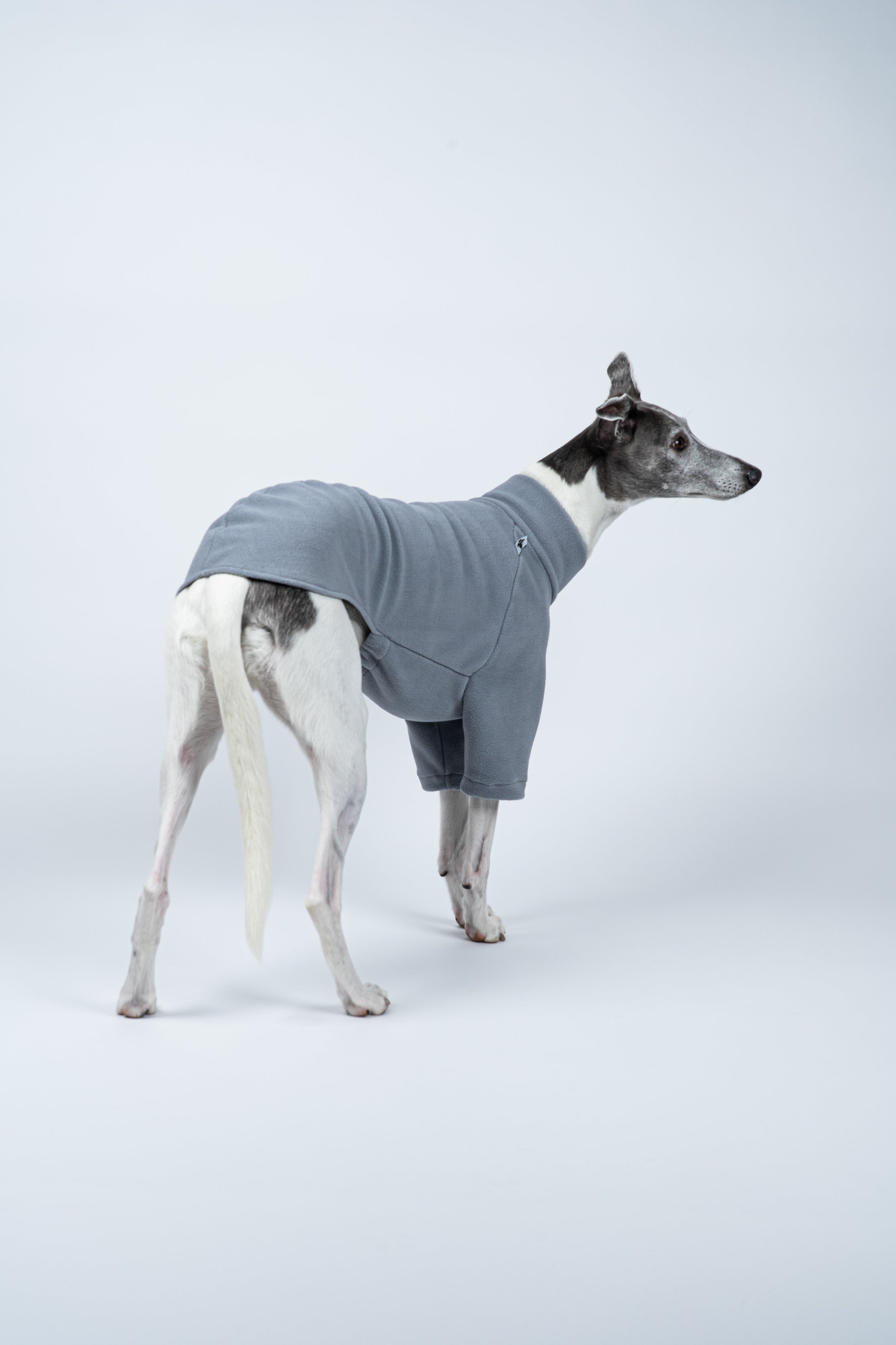 Leichter, hellgrauer Fleece-Pullover – Whippet präsentiert bewegungsfreundliche Passform