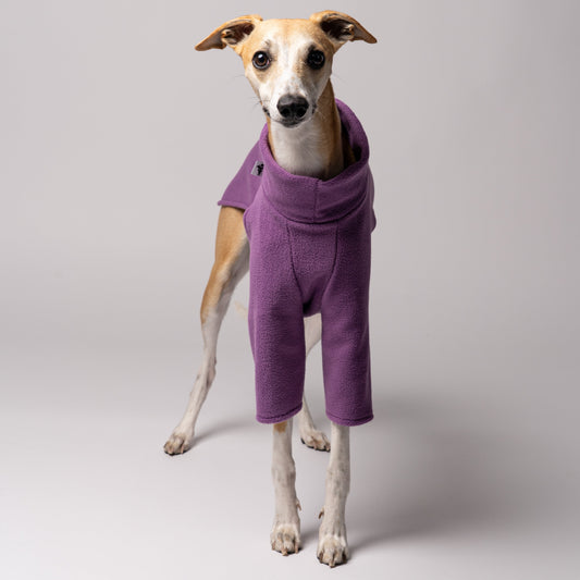 Whippet in Hundepullover aus Polar Fleece in Violet - Made in Germany