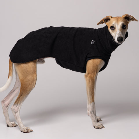 Whippet im eleganten Long Shirt in Schwarz beim Spaziergang – minimalistisches Design trifft auf maximale Funktion