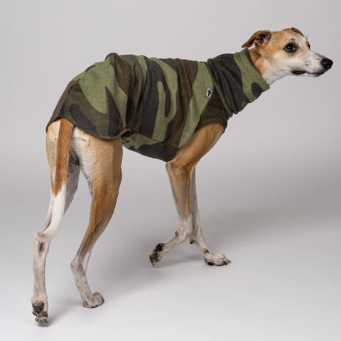 Whippet trägt auffälliges Long Shirt in Camouflage – sichtbar und stylisch