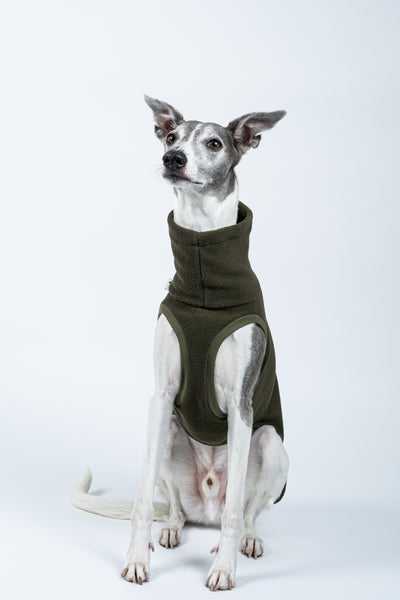 Whippet im Long Shirt Dark Olive – ergonomische Passform bleibt auch im Liegen bequem