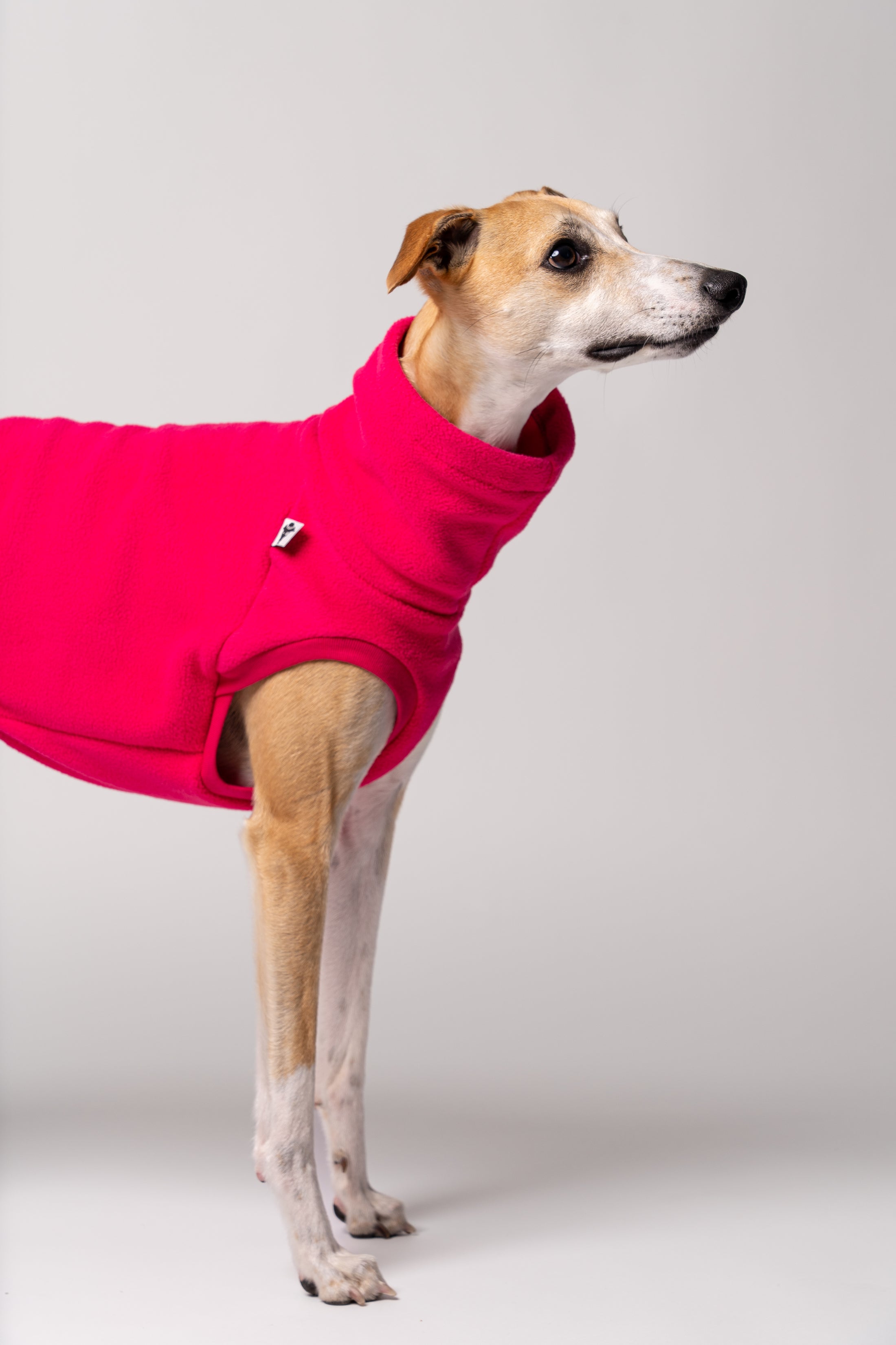 Detailaufnahme Fleece Shirt für Windhunde in Pink