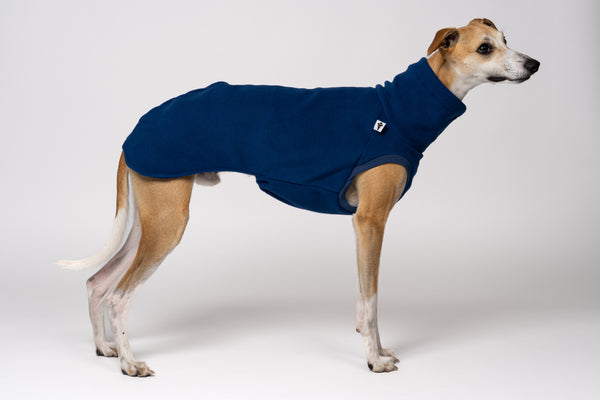 Whippet Seitenansicht in Long Shirt aus Fleece in der Farbe Navy - handgemacht in Berlin