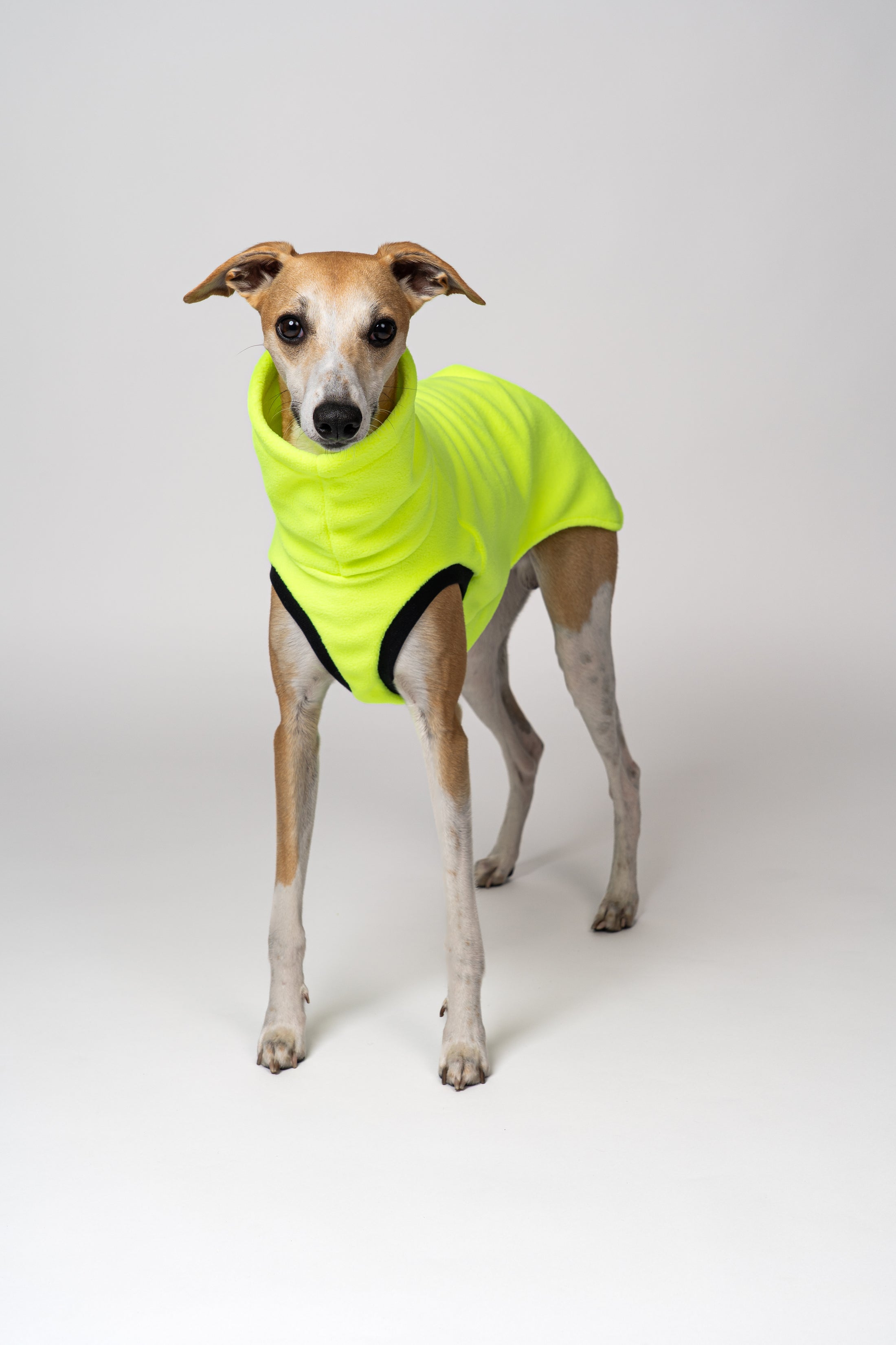 Fleece-Shirt in Neon Yellow – funktionales Design für Sichtbarkeit und Stil