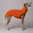 Bild in Galerie-Betrachter laden, Whippet im Long Shirt in Pumpkin – atmungsaktives, bequemes Fleece-Outfit
