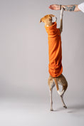 Bild in Galerie-Betrachter laden, Whippet in Bewegung - in atmungsaktiven Shirt aus Fleece in Orange
