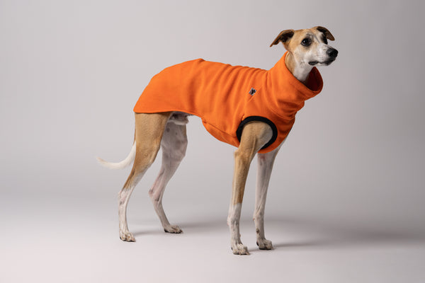 Seitenansicht - Windhund im bequemen Fleece Shirt in Orange