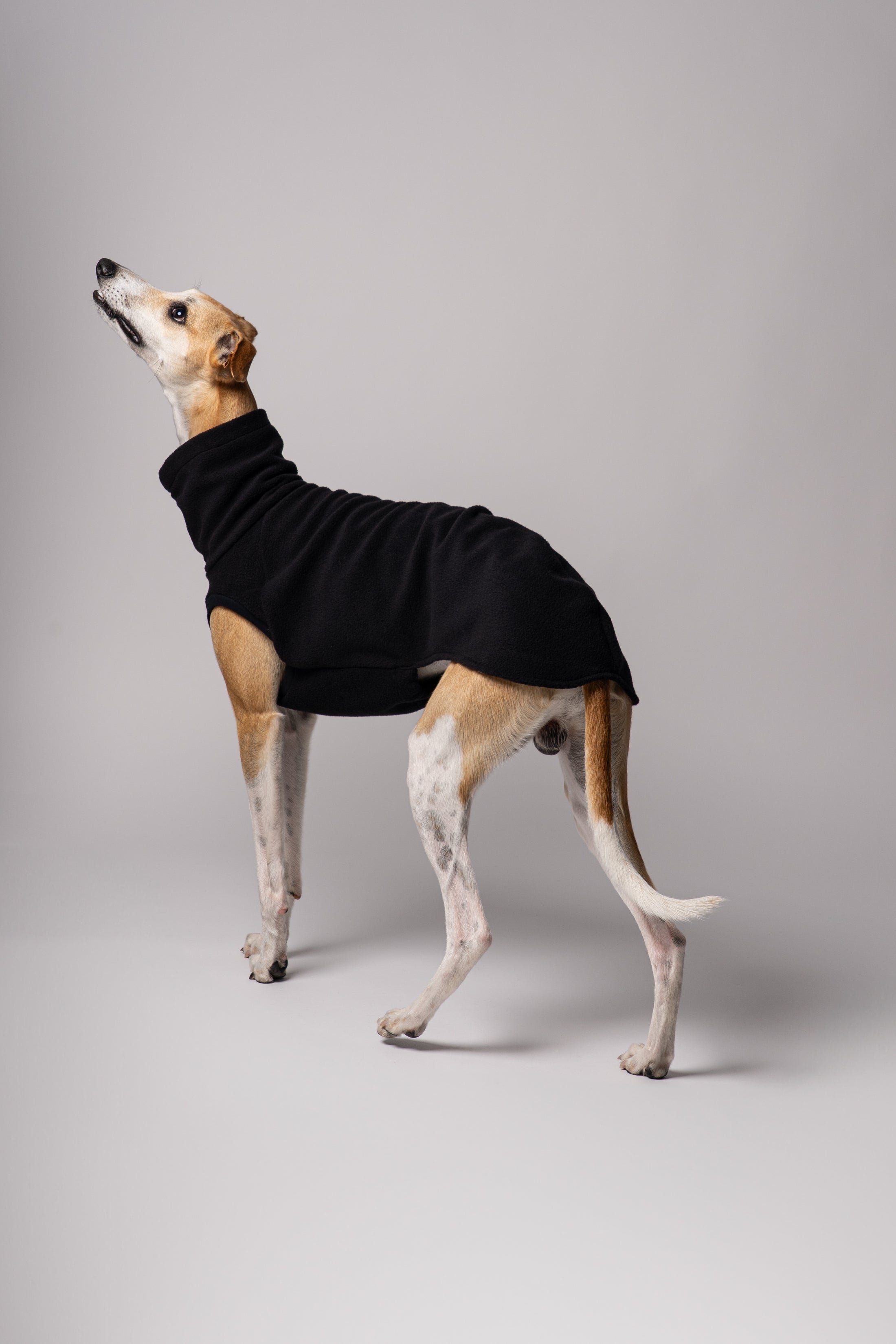 Windhund im ärmellosen Long Shirt – idealer Schnitt für maximale Bewegungsfreiheit