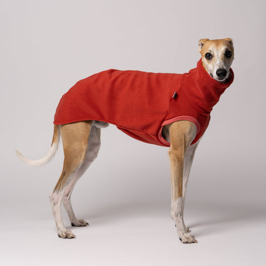 Whippet trägt handgenähtes Hundeshirt aus Polar Fleece – perfekt angepasst für lange Rücken und schmale Taillen