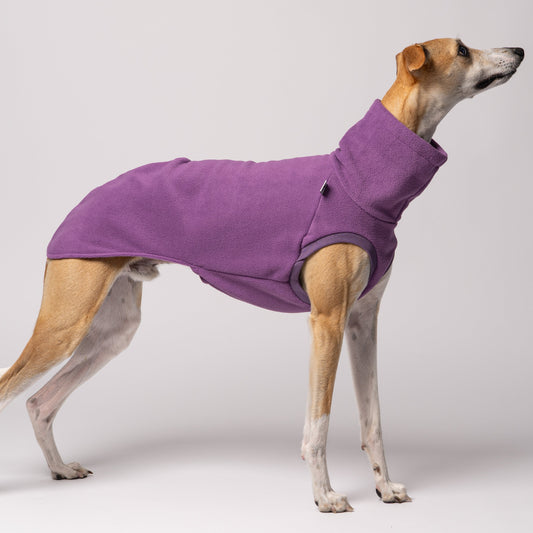 Whippet im ärmellosen Long Shirt – idealer Schnitt für maximale Bewegungsfreiheit