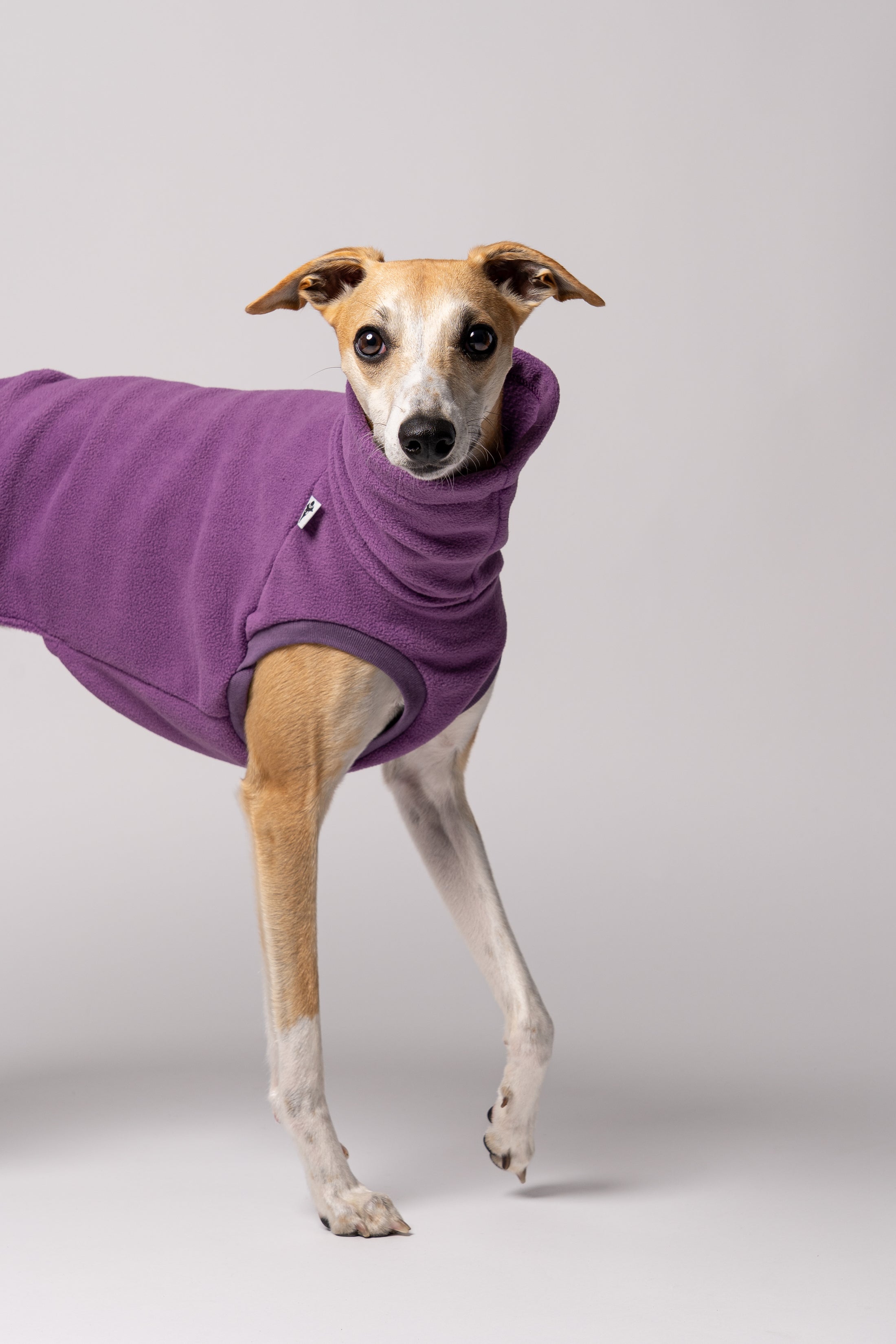 Whippet im ärmellosen Fleece Long Shirt – idealer Schnitt für maximale Bewegungsfreiheit