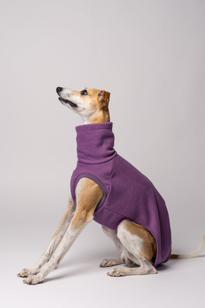 Whippet mit bequemem Fleece-Pullover – atmungsaktive, warme Kleidung für Windhundrassen