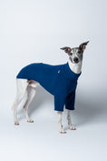 Bild in Galerie-Betrachter laden, Whippet präsentiert Windhund-Pullover in Navy vor weißem Hintergrund – schmaler Schnitt, mittelhoher Kragen
