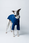 Bild in Galerie-Betrachter laden, Formschöner Fleece-Pullover in Navy an einem stehenden Whippet – stilvoll und wärmend zugleich
