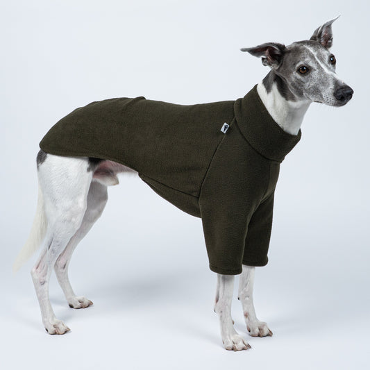 Stehender Whippet im Fleecepullover in Dunkeloliv – perfekter Sitz für die schmale Windhundfigur