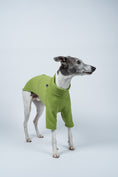 Bild in Galerie-Betrachter laden, Whippet frontal im Fleecepullover in hellem Grün – ideal für kühle, aber milde Tage
