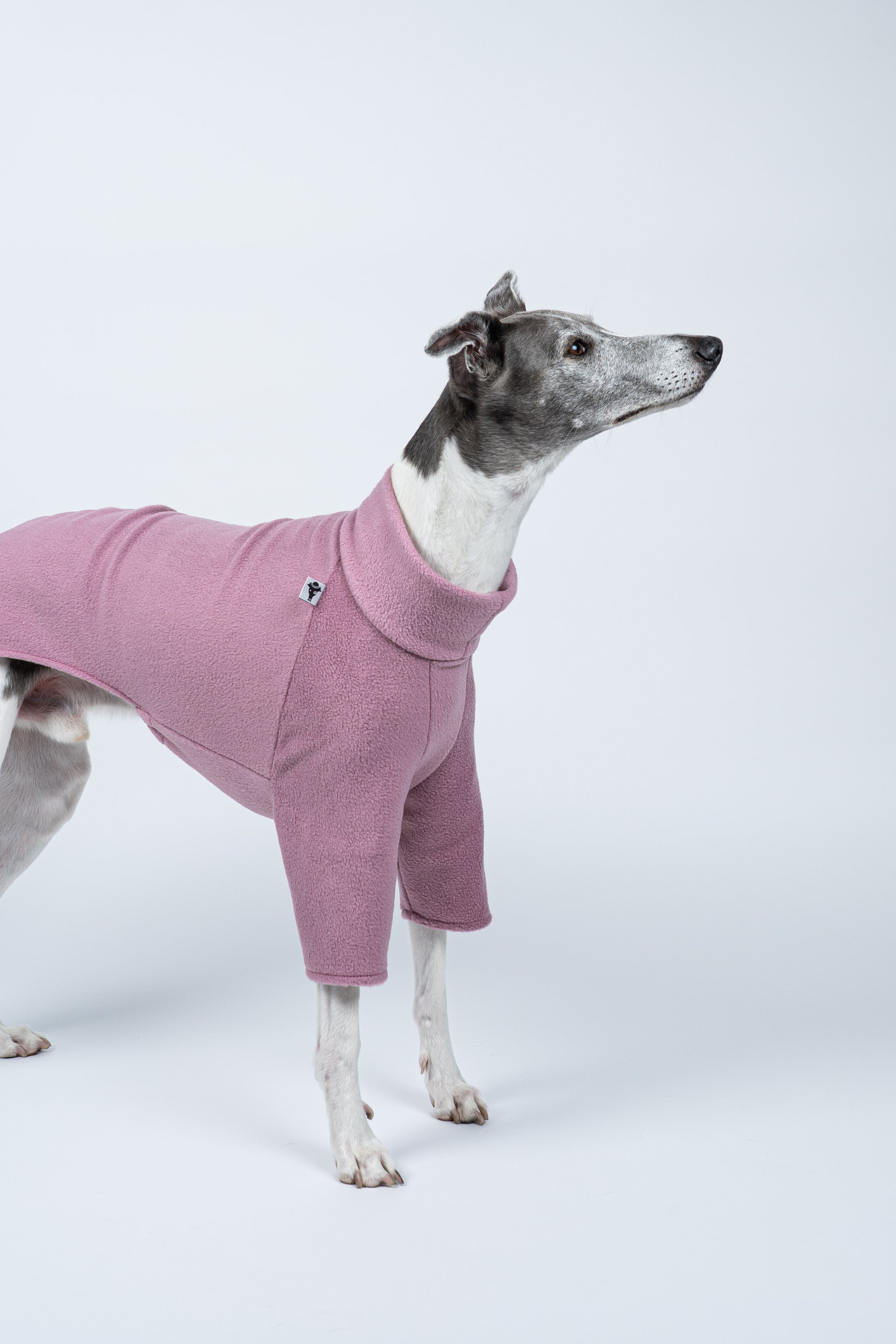 Whippet im Seitenprofil mit Fleecepullover in Mulberry – figurnaher Schnitt für den Windhundkörper